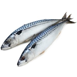 ماكريل مستورد